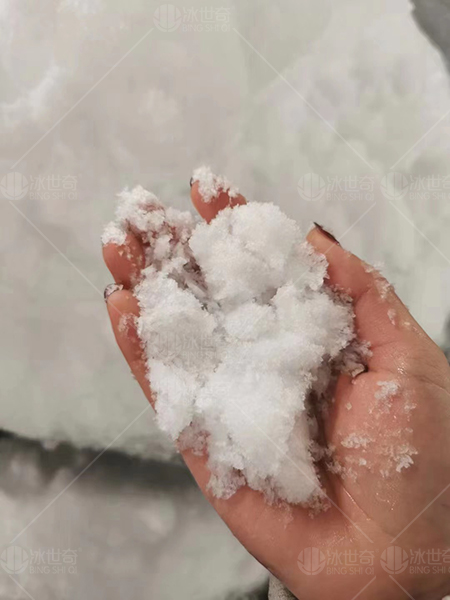 纯雪花制冰机